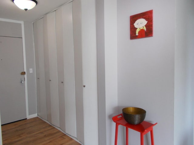 5455 N Sheridan Rd Unit 408, Chicago, IL 60640 - hallway featuring wood finished floors