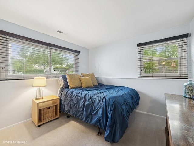 1811 Maplewood Ct, Lindenhurst, IL 60046 - bedroom with multiple windows, baseboards, and carpet floors
