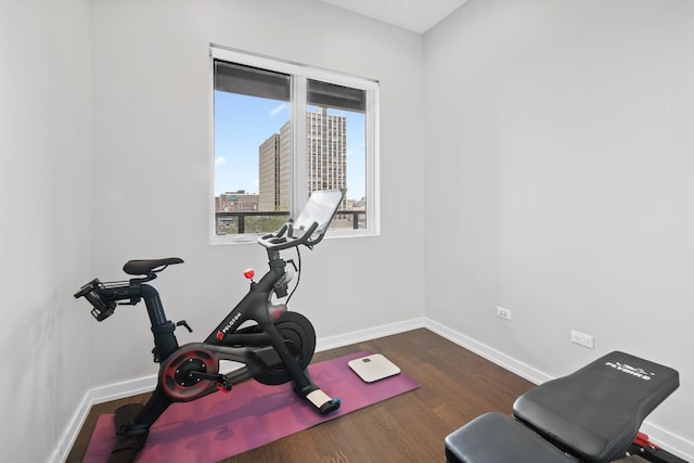 2773 N Hampden Ct Unit 401, Chicago, IL 60614 - exercise area featuring wood finished floors and a view of city