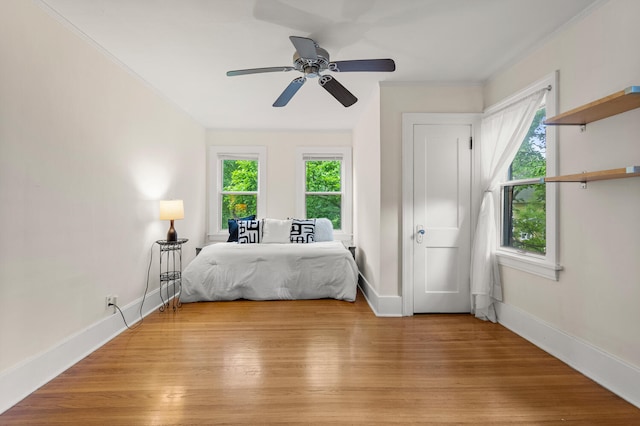711 W Iowa St, Urbana, IL 61801 - bedroom with light wood-style floors, baseboards, and ceiling fan