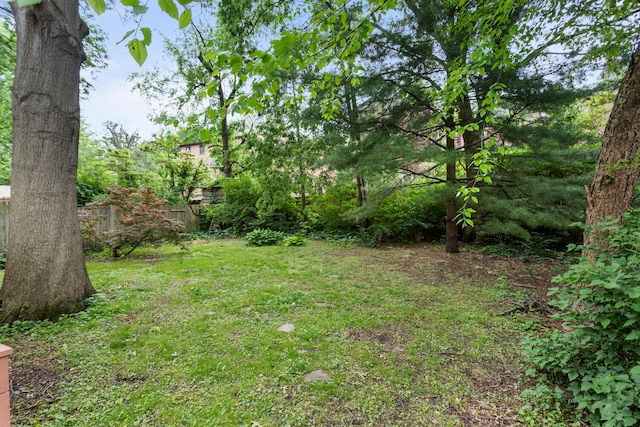711 W Iowa St, Urbana, IL 61801 - view of yard