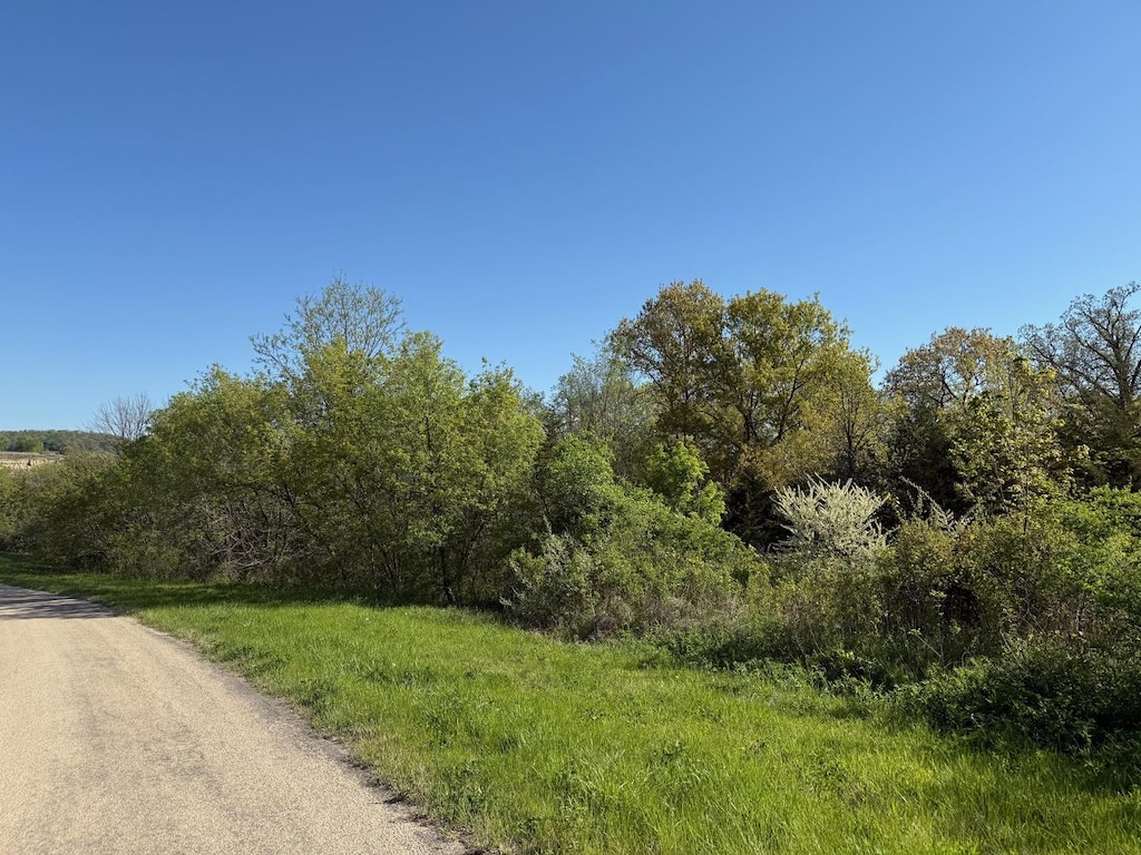 3 N Acorn Ct, Galena, IL 61036