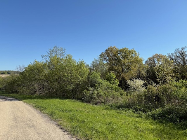 3 N Acorn Ct, Galena, IL 61036