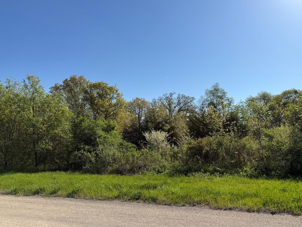 3 N Acorn Ct, Galena, IL 61036