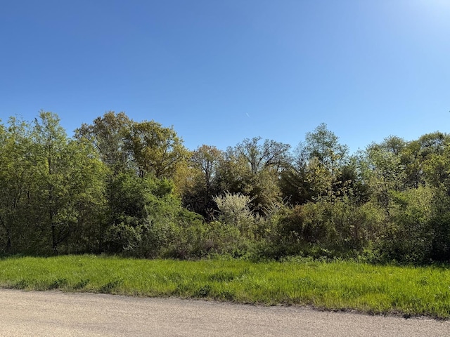3 N Acorn Ct, Galena, IL 61036