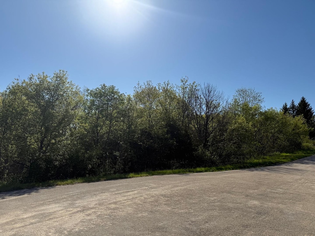 3 N Acorn Ct, Galena, IL 61036