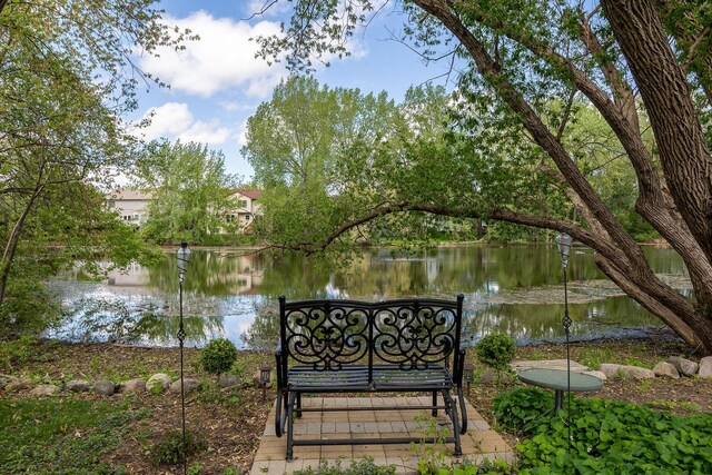 7038 Bentley Dr, Gurnee, IL 60031 - view of home's community featuring a water view