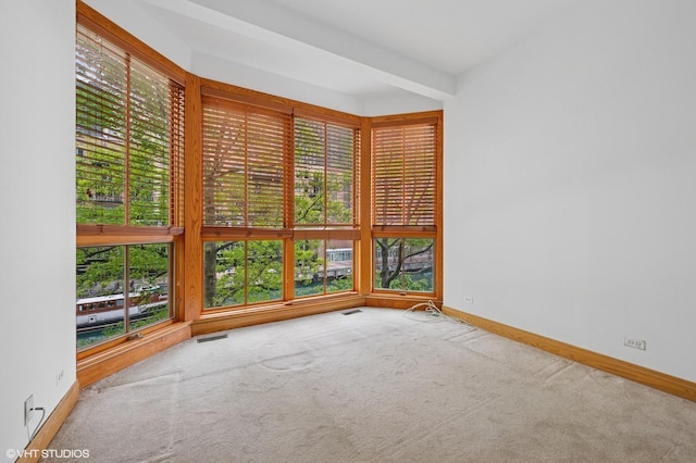 456 E N Water St Unit H, Chicago, IL 60611 - spare room featuring carpet flooring and baseboards