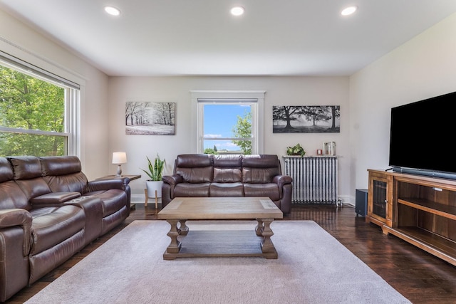 4731 E 10th Rd, Earlville, IL 60518 - living area featuring recessed lighting, radiator, dark wood-style floors, and baseboards