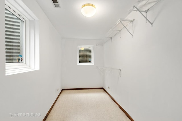 6109 Golfview Dr Unit 6109, Gurnee, IL 60031 - spacious closet featuring light colored carpet