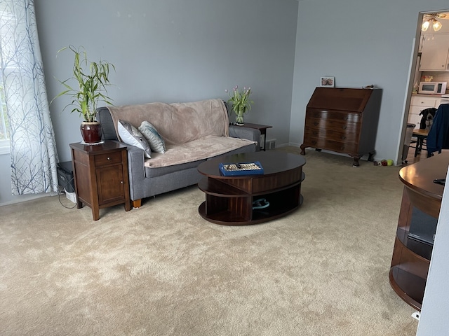 768 S Spring Rd, Elmhurst, IL 60126 - living area featuring light carpet