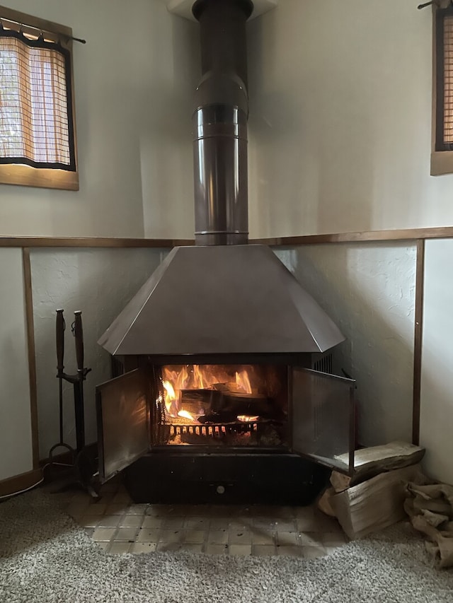 768 S Spring Rd, Elmhurst, IL 60126 - detailed view of carpet and a lit fireplace