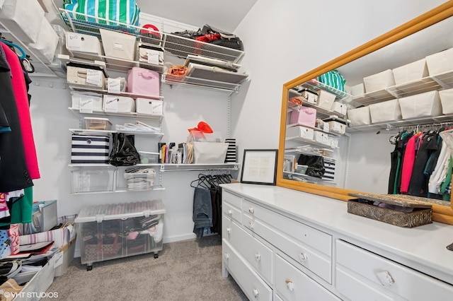 501 N Kingsbury St Unit G, Chicago, IL 60654 - walk in closet with carpet flooring