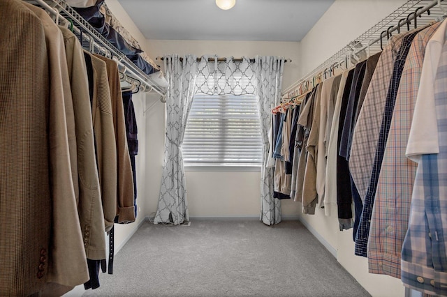1021 Fire Fox Ct, Saint Charles, IL 60174 - spacious closet with carpet floors