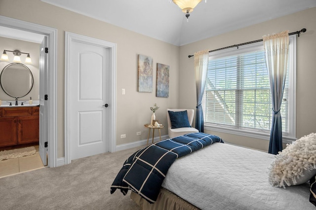 1021 Fire Fox Ct, Saint Charles, IL 60174 - bedroom with a sink, carpet floors, ensuite bath, and baseboards
