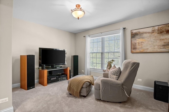 1021 Fire Fox Ct, Saint Charles, IL 60174 - sitting room with carpet floors and baseboards