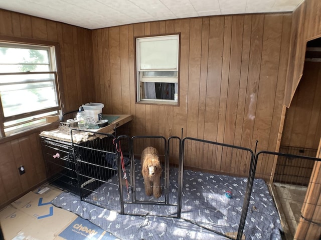 207 W Williams St, Dwight, IL 60420 - bedroom featuring wooden walls