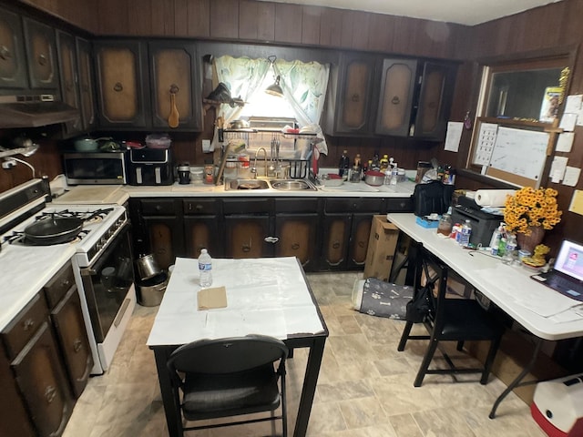 207 W Williams St, Dwight, IL 60420 - kitchen featuring gas range gas stove, under cabinet range hood, a sink, stainless steel microwave, and light countertops
