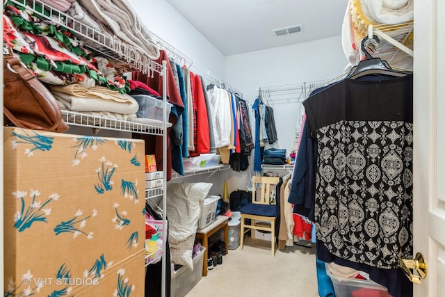 2507 Rolling Rdg, Elgin, IL 60124 - walk in closet featuring carpet