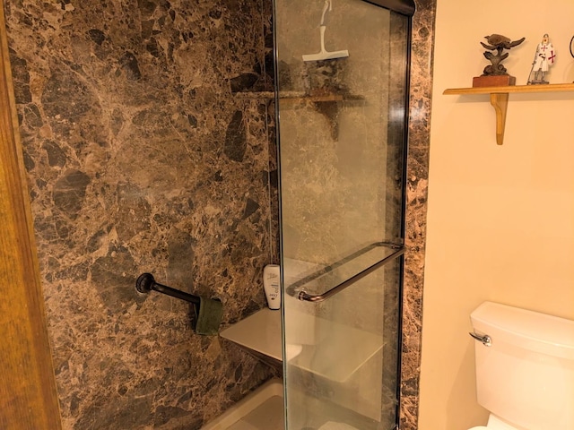 full bathroom featuring a shower stall and toilet