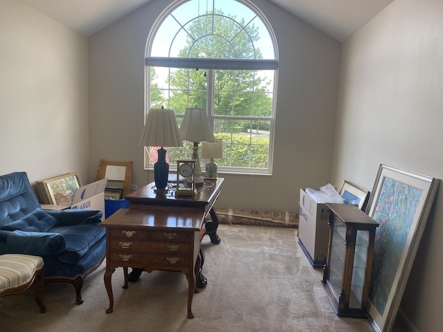 2018 Olmstead Dr Unit 2018, Woodstock, IL 60098 - office featuring lofted ceiling and carpet floors
