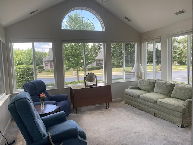 2018 Olmstead Dr Unit 2018, Woodstock, IL 60098 - sunroom with lofted ceiling and carpet