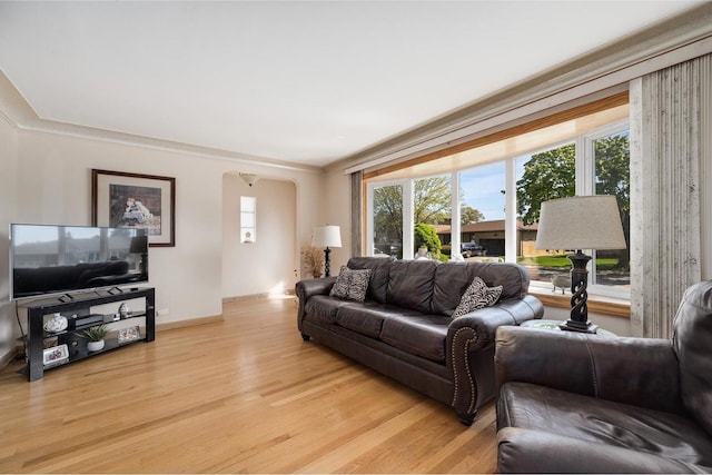 4522 N Reserve Ave, Chicago, IL 60656 - living area featuring arched walkways, healthy amount of natural light, light wood-style floors, and baseboards