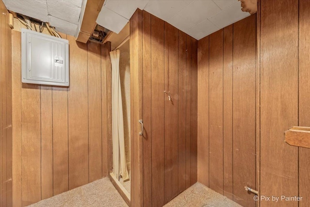 1029 S 5th St, Saint Charles, IL 60174 - below grade area featuring electric panel, wooden walls, and carpet floors