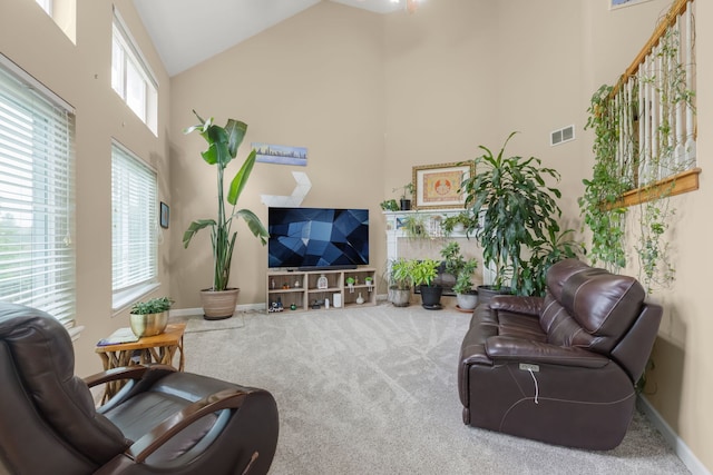 1984 Seaview Dr, Aurora, IL 60503 - living area featuring high vaulted ceiling, carpet floors, and baseboards