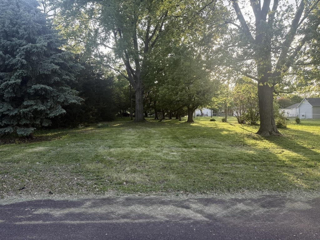 109 S Eastern Ave, Minier, IL 61759 - photo 1