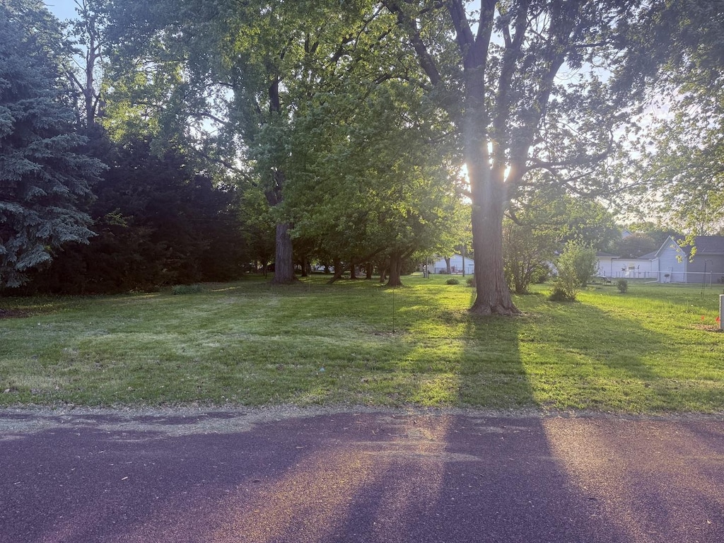 109 S Eastern Ave, Minier, IL 61759 - photo 2