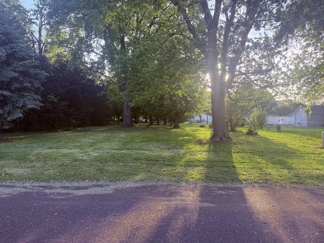109 S Eastern Ave, Minier, IL 61759 - photo 2