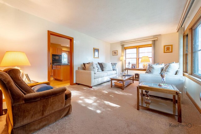 8620 S Marshfield Ave, Chicago, IL 60620 - photo 5
