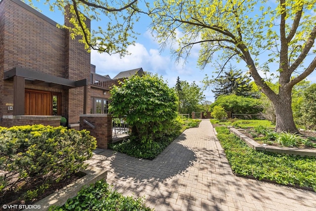 509 Burr Oak Pl, Hinsdale, IL 60521 - view of yard