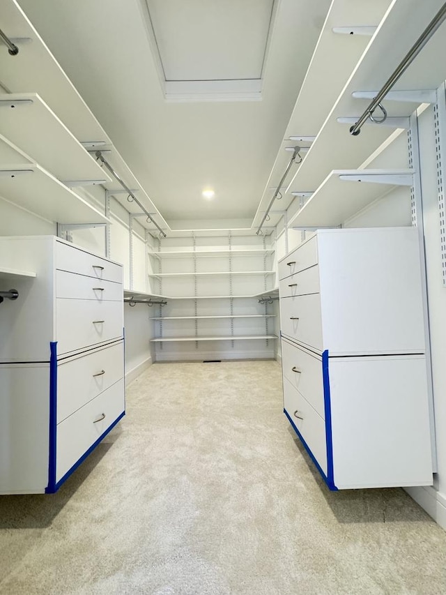spacious closet featuring light colored carpet