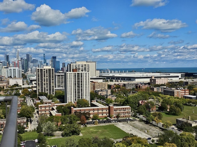 3001 S Michigan Ave Unit 2202, Chicago, IL 60616 - aerial view of a view of skyline and a nearby body of water