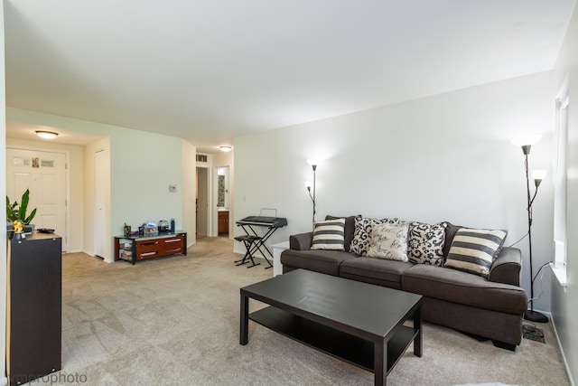 101 E Fabish Dr Unit 101, Buffalo Grove, IL 60089 - living area with light carpet