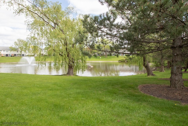 101 E Fabish Dr Unit 101, Buffalo Grove, IL 60089 - water view