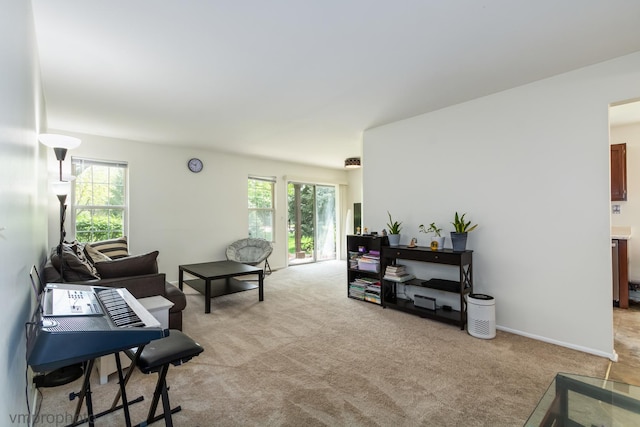 101 E Fabish Dr Unit 101, Buffalo Grove, IL 60089 - living area with light colored carpet