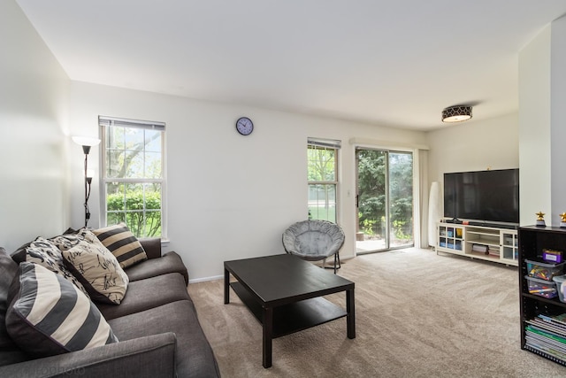 101 E Fabish Dr Unit 101, Buffalo Grove, IL 60089 - view of carpeted living area