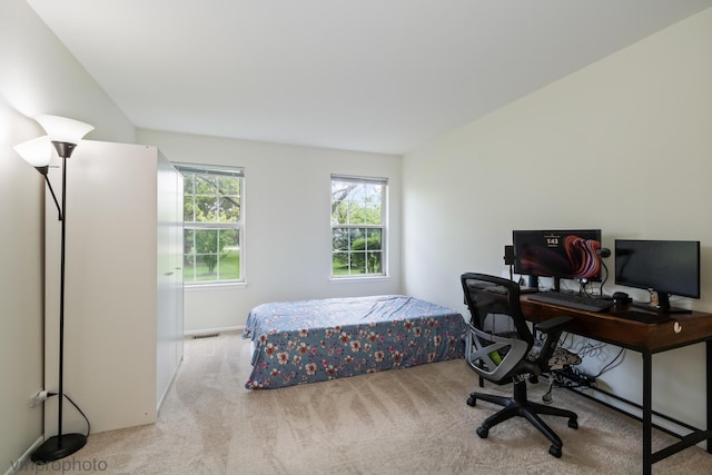 101 E Fabish Dr Unit 101, Buffalo Grove, IL 60089 - carpeted bedroom with a desk and baseboards