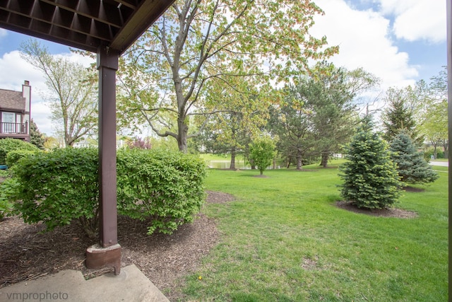 101 E Fabish Dr Unit 101, Buffalo Grove, IL 60089 - view of green lawn