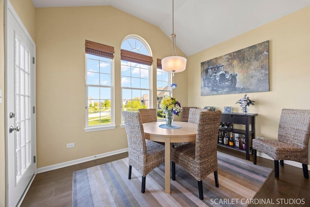 4404 Monroe Ct, Naperville, IL 60564 - dining area with healthy amount of natural light, lofted ceiling, baseboards, and dark wood-type flooring