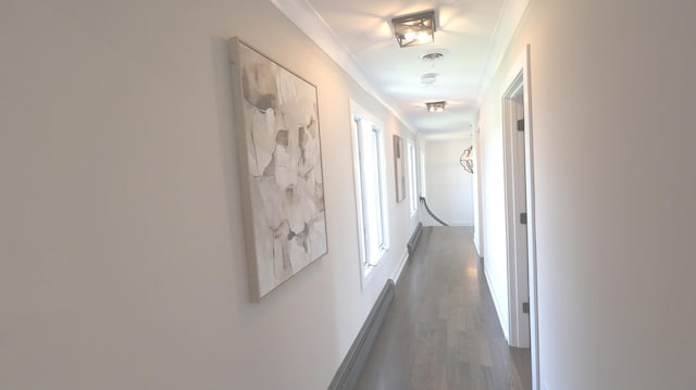 hallway with wood finished floors and ornamental molding