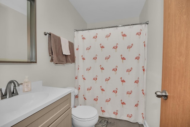 16560 Willow Walk Dr, Lockport, IL 60441 - bathroom featuring toilet, vanity, and a shower with curtain