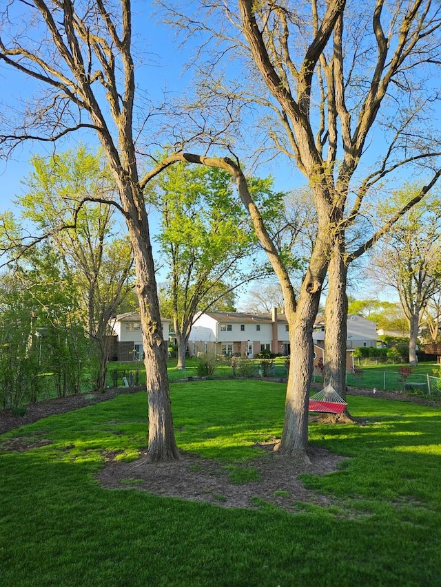 8 W Emerson St, Arlington Heights, IL 60005 - view of green lawn