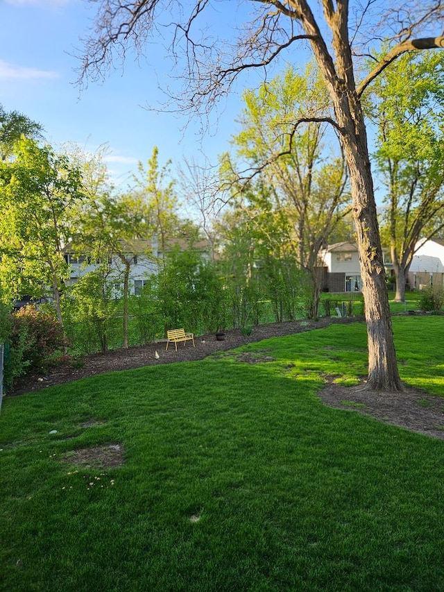 8 W Emerson St, Arlington Heights, IL 60005 - view of green lawn