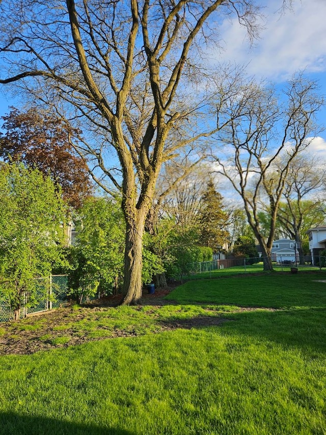 8 W Emerson St, Arlington Heights, IL 60005 - view of yard