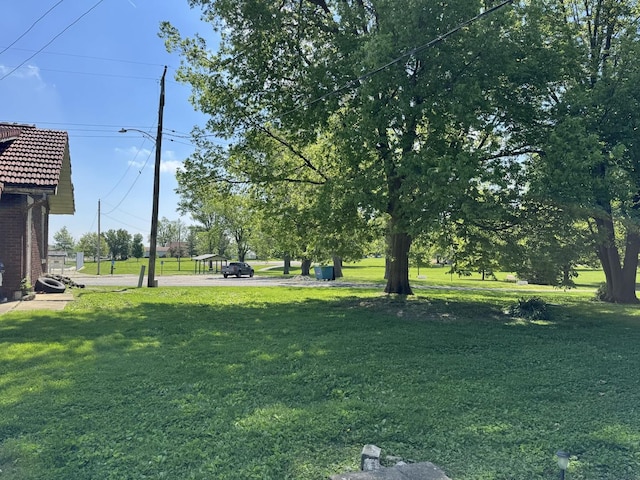 view of grassy yard