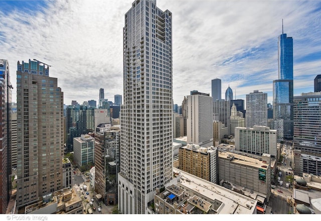 21 E Huron St Unit 3204, Chicago, IL 60611 - city view